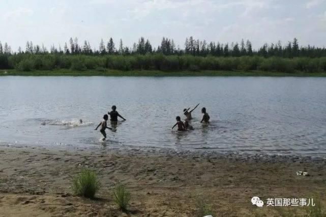  北极地区|“全世界最冷小镇”今年夏天气温飙到38℃！灾害频发，北极圈不好过了！