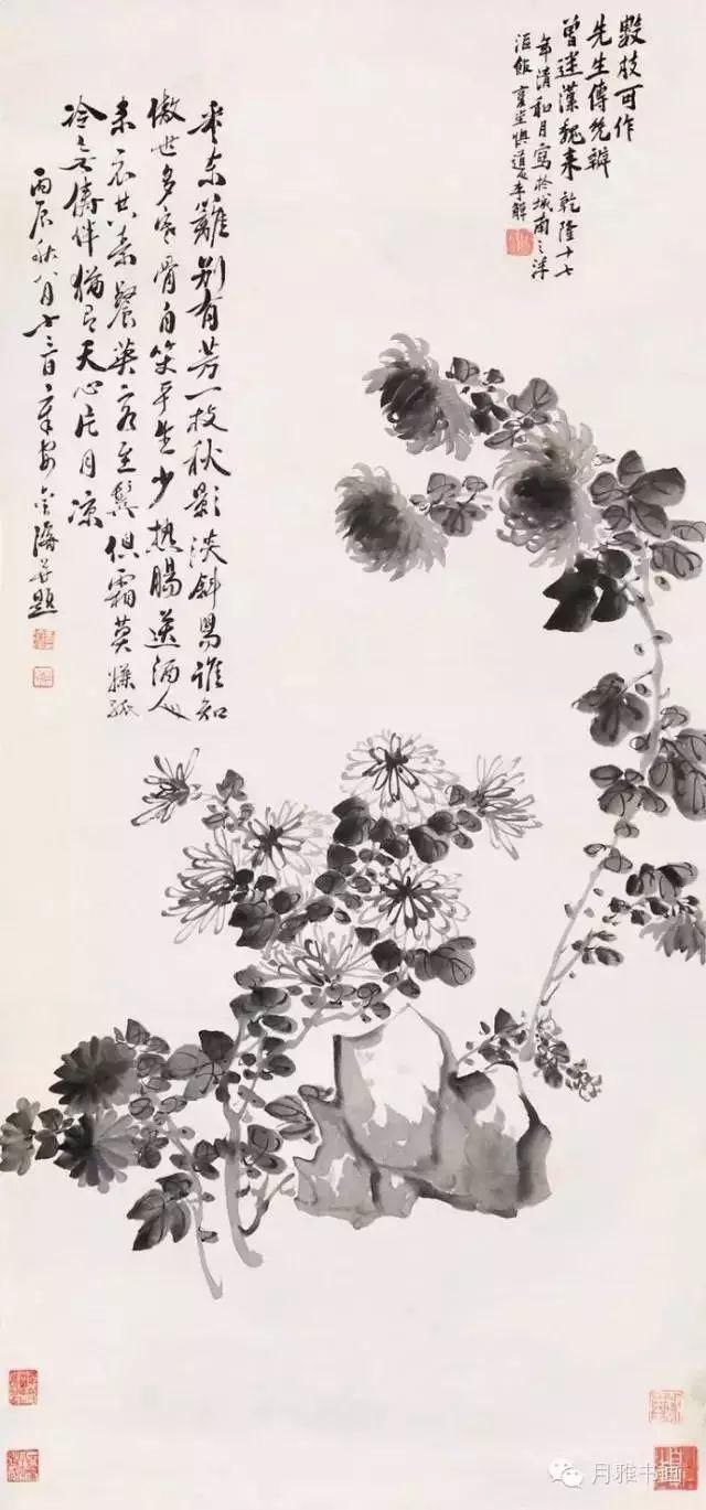  名家|秋菊佳色！——历代名家画菊