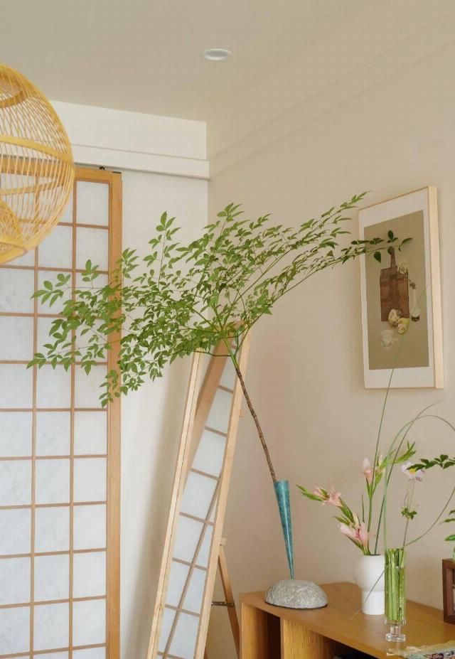  吊钟|她们的家，美得很让人种草