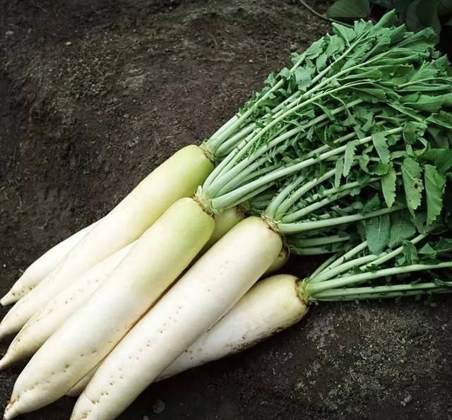 营养|白萝卜常吃助消化,教你新做法,不蒸不炒,营养美味,上桌抢着吃