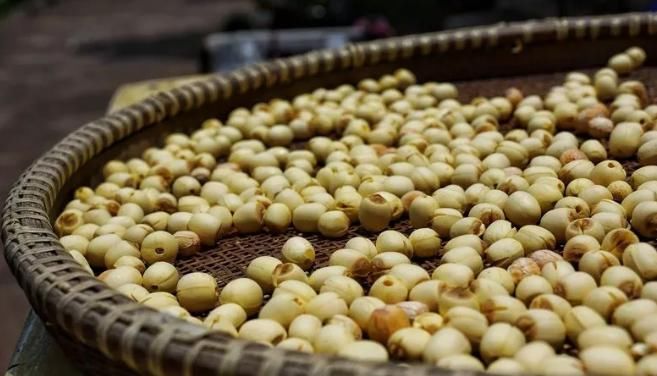  湛江市坡头区摄影协|映日荷花醉「乾塘」