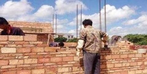  盖新房|父子翻盖新房挖出一只“猪”，主动上交，考古学家：全球仅此一头