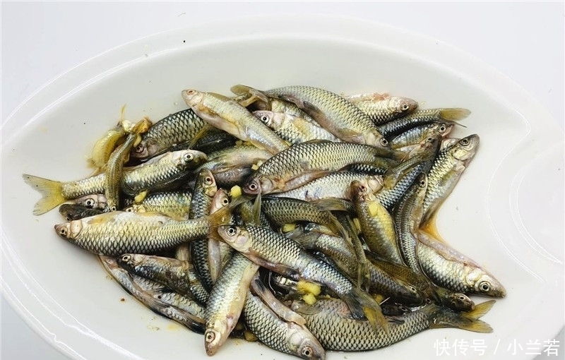  美味|小河鱼最好吃的做法，简单美味，下酒又补钙，比吃肉还过瘾！