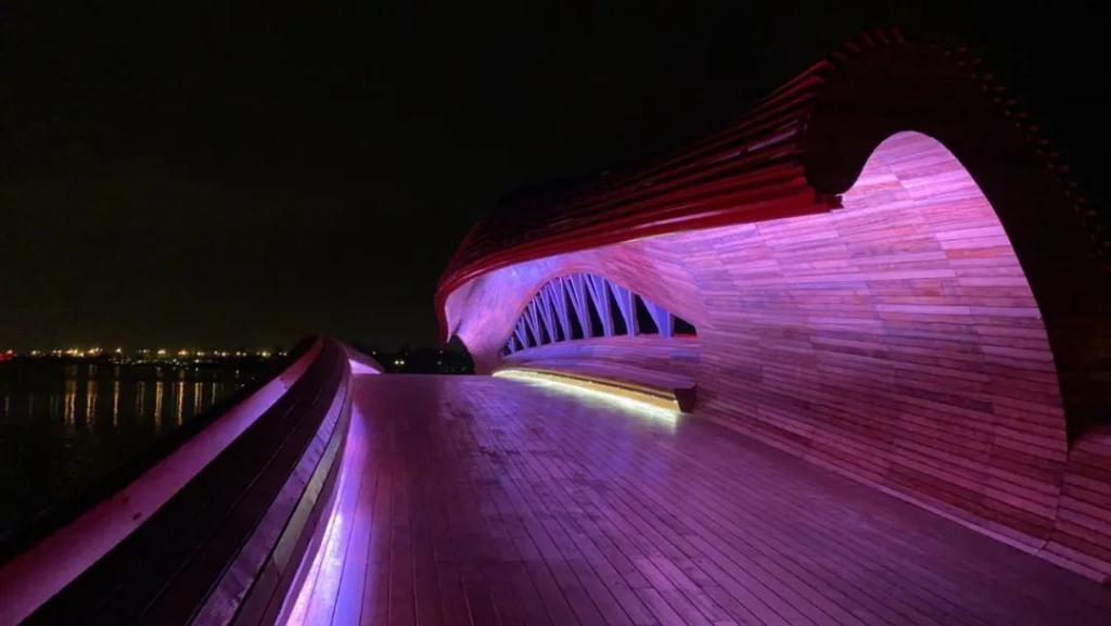 网红|【探索】滴水湖4座“网红”景观桥亮灯啦!快来先睹为快