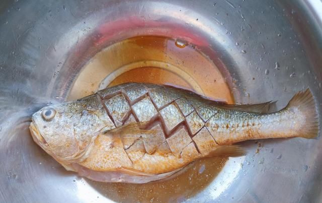 大黄鱼|红烧鱼这样做,鲜香无腥味,解馋又下饭,全家人都抢着吃