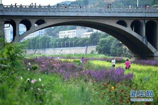 陕西|陕西延安：河道综合治理 建设绿色家园