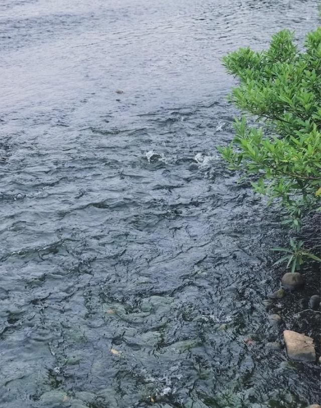 卧虎藏龙|卧虎藏龙的广西，好玩可不止涠洲岛！还有座海滨老城，海鲜吃到撑