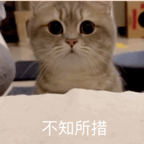 里子|春城夜谭｜有人国庆假期要赶5场婚宴！别为面子伤了“里子”