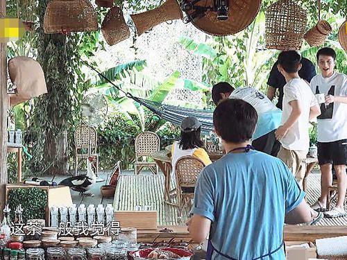  解释|维嘉嫌黄磊准备的茶叶不好，字幕组打出8个字解释，做到完美救场