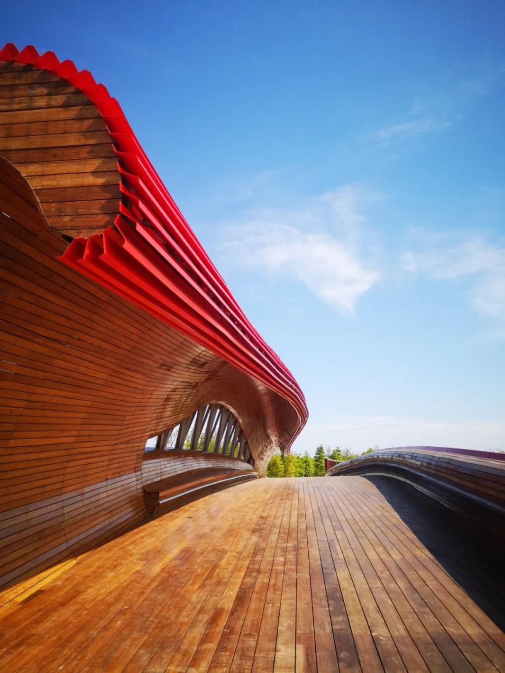 网红|【探索】滴水湖4座“网红”景观桥亮灯啦!快来先睹为快