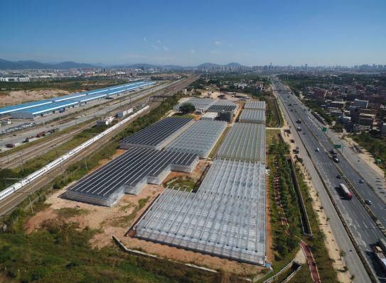 收集|就在明天!海沧 “丰收集”!