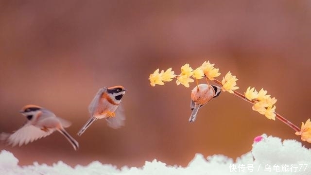 身边|有一种深爱,不在身边,却在心间