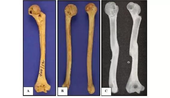对不起|对不起，这一亿被他们辱骂的人，正在被迫消失！