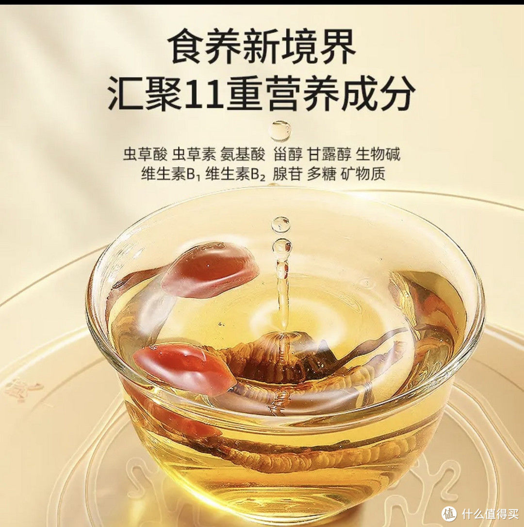 养生就选同仁堂冬虫夏草2023
