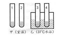  生物圈|初中生物——精选易错题100道，考前多练习！