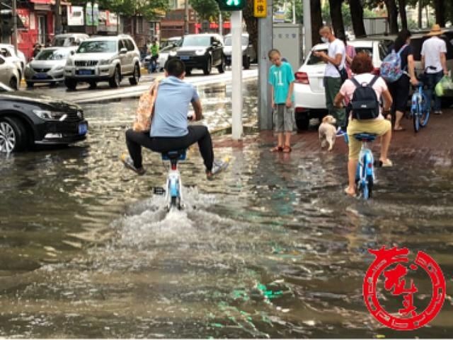哈尔滨市|持续一小时的急雨 令哈尔滨市低洼路段成泽国