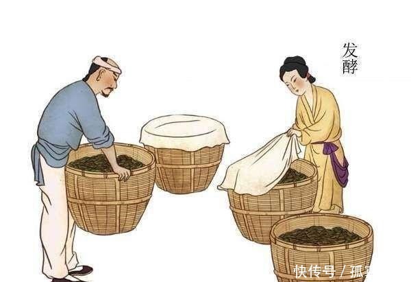 固态|固态酿制白酒也分种类,进来看看你知道这些分类吗