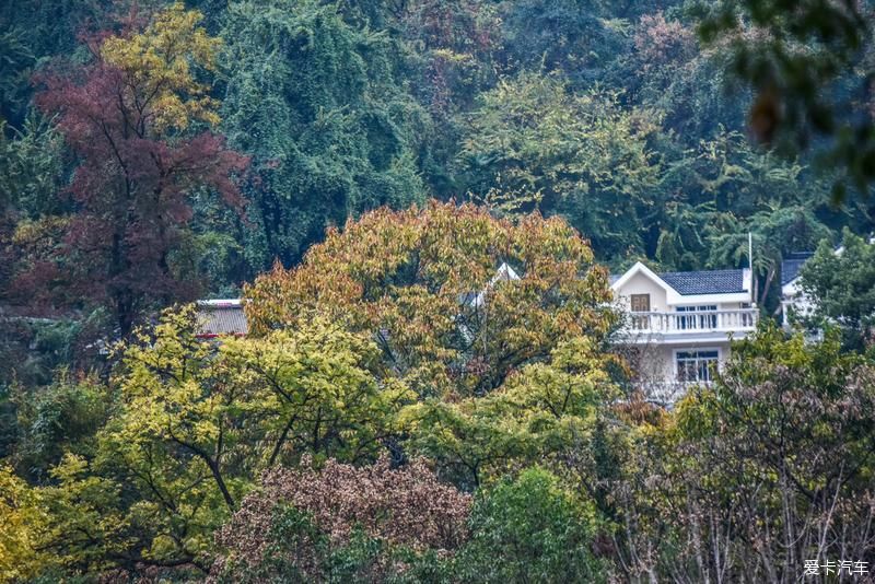  风光|畅游杭州杨梅岭，体验新颖的农家生活