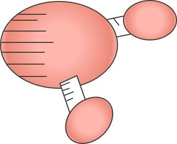  完胜|美白界万能法宝：完胜VC+烟酰胺，地表最强抗氧化剂是…