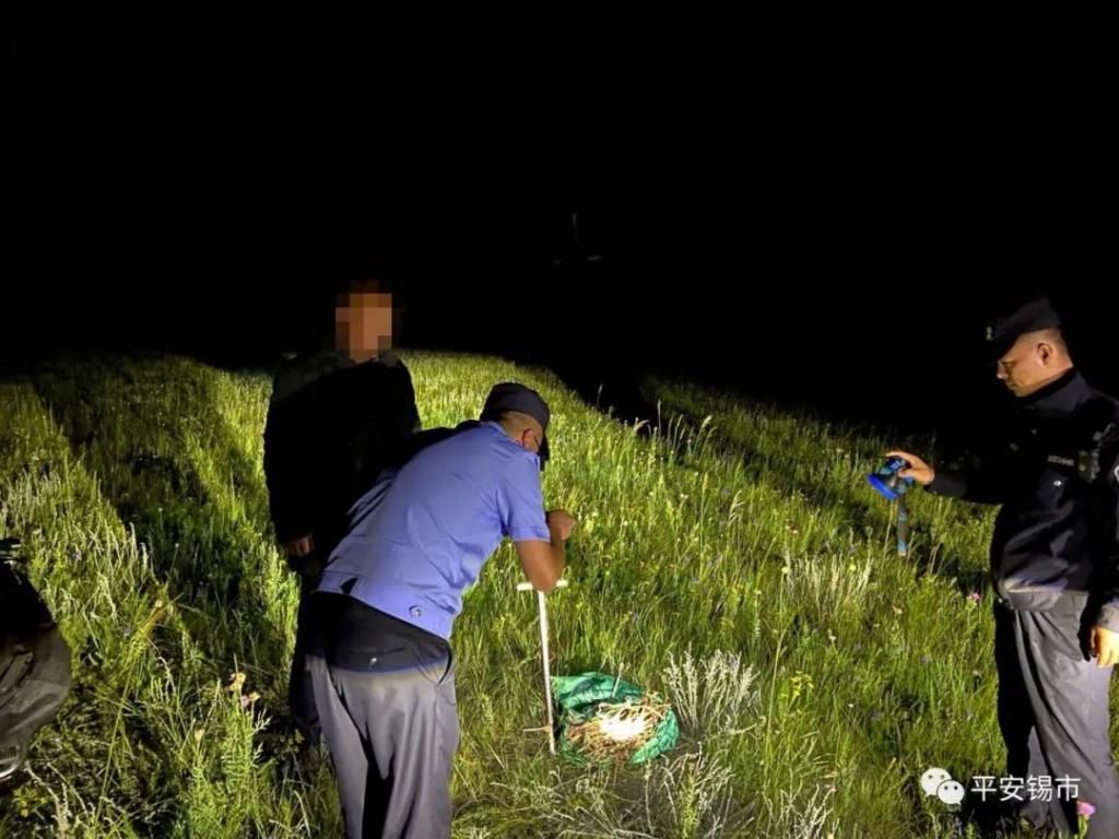 野生|锡盟警方查处一起非法盗挖野生药材案