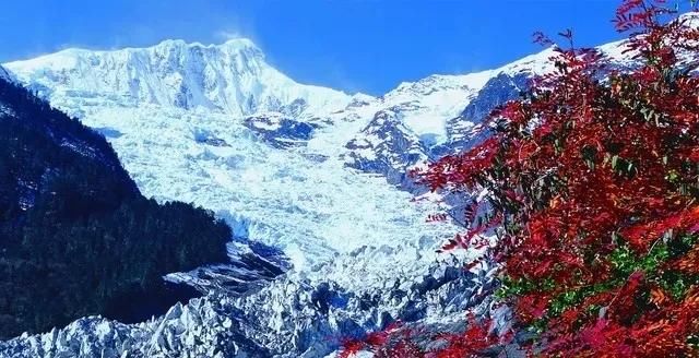  导价的A级|请收下，这是一份很长很全很美的暑期游云南攻略