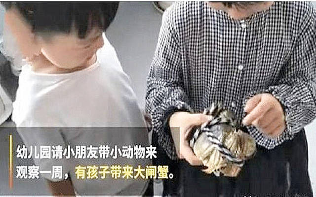  爸爸|“爸爸，明天老师让带1000个芝麻”家长怒斥老师，不料遭现场打脸