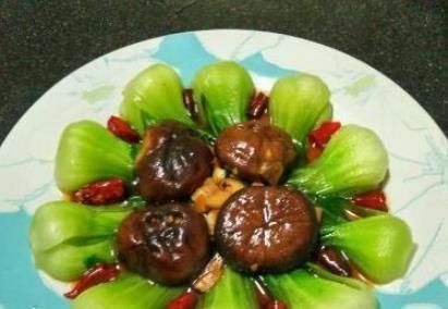  上海青|居家生活，精选几道美味可口的家常菜，简单好做，开胃又下饭