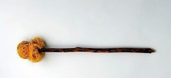 抛弃|会爆炸的厕所 抛弃自己的首都 古罗马人到底有多疯狂