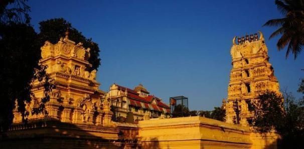 直言|印度美女到中国旅游，看到中国男人行为，直言：真羡慕中国女人