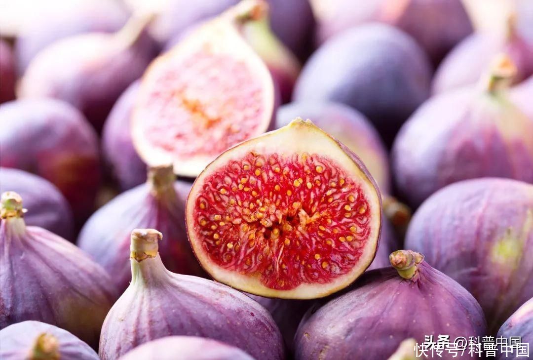 劝你多吃无花果的理由(劝你多吃无花果的理由，1个就够了！)