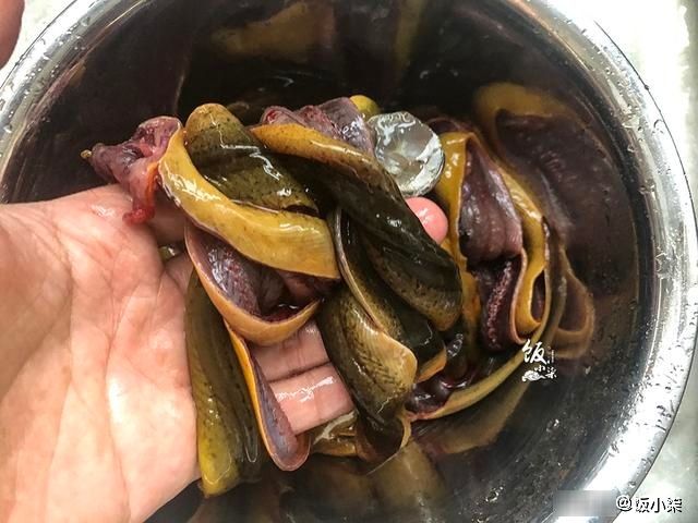  土腥味|清洗黄鳝时，不要只会用清水洗，多加这2样东西，土腥味都消失了