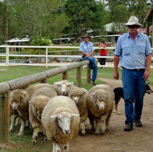  国家|世界上工资最高的国家，一小时100元，网友：一天工作2小时够了