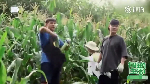 迎接|《向往》史上最惨男嘉宾,来了不但无人迎接,还要给兄妹俩做饭吃