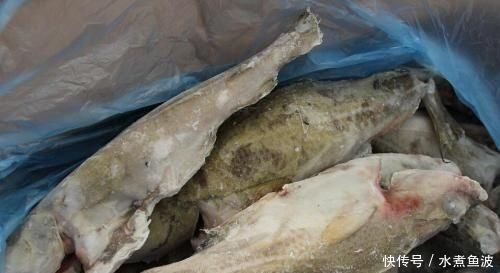  鲫鱼|被人误解最深的鱼，因冷冻被人嫌弃，其实它比鲅鱼香，比鲫鱼营养