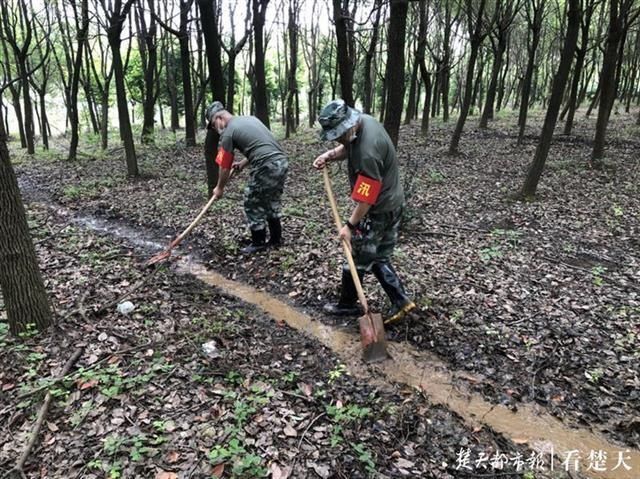 彭成龙|抗疫之后再防汛,沌口街“一号”理发师让防汛队友更精神