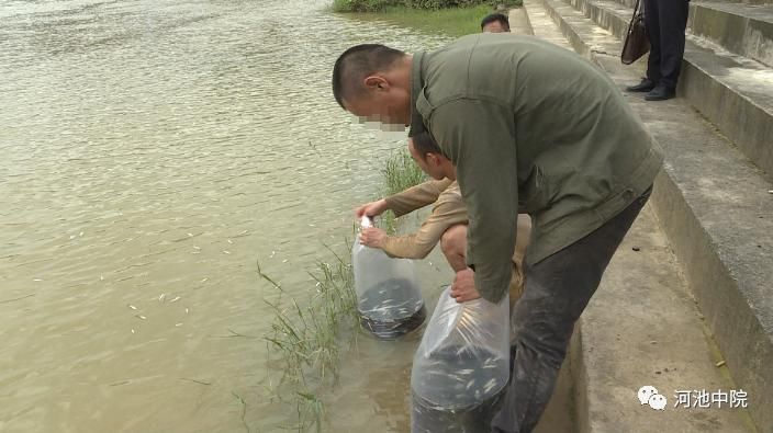  族自治区|说法 | 抓青蛙也犯法！环江4名男子抓了116只野生蛙被判刑