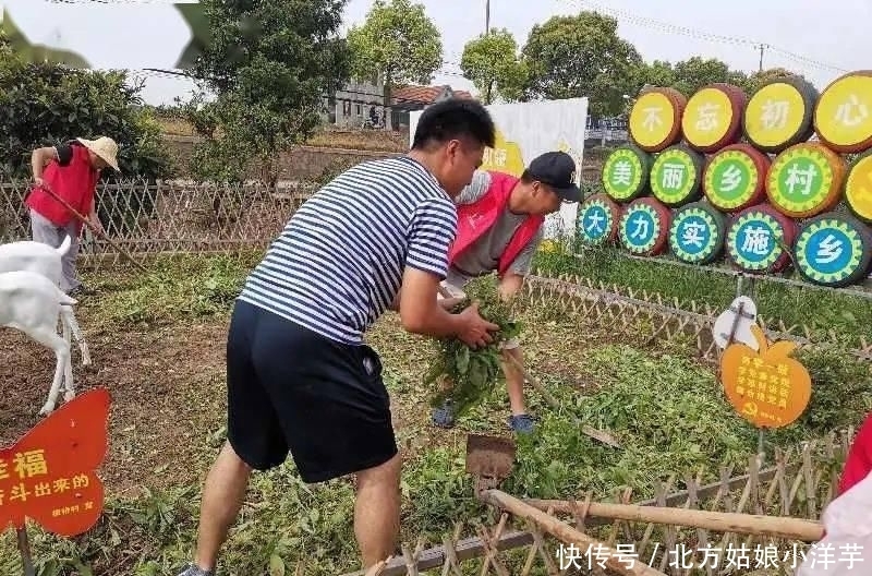 文明城区|给我们的家园做一场“深层SPA”！