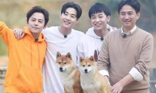 购买|《向往的生活》再陷抄袭风波!自以为手段高明,却被正主发文警告