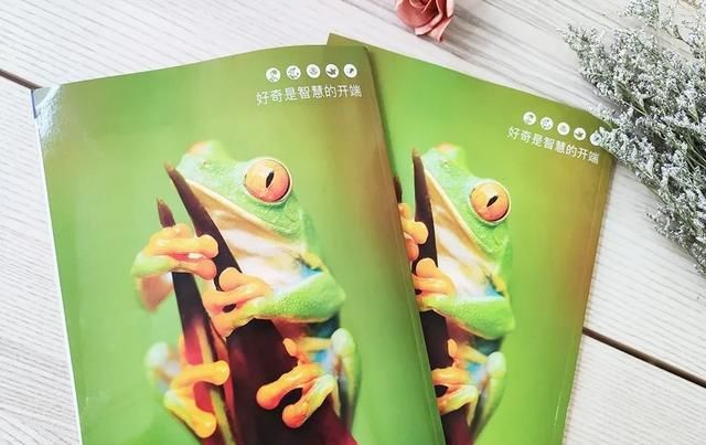  美国|美国顶尖儿童杂志授权，满足6-12岁孩子所有好奇心