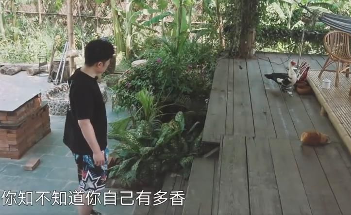  满满|陈赫说再来一口，结果被安排满满一碗，瞬间让人想起第一季的画面