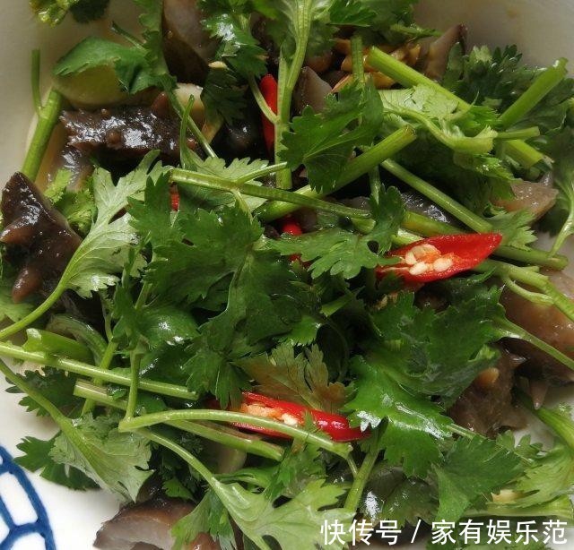 开胃|香菜拌海参，酸辣开胃，咸鲜入味儿