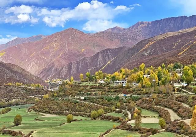 女人|旅行:曾经有一个女人,为我而去了西藏