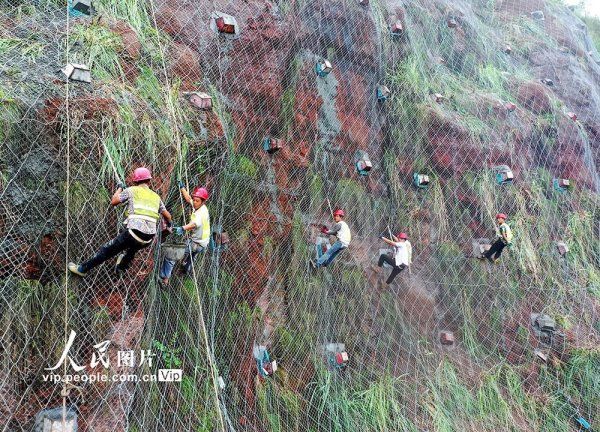 道路|四川仁寿：道路安全“织网人”