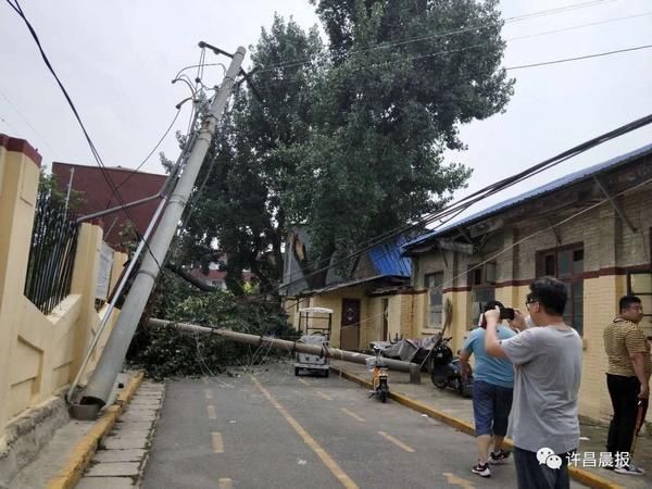  断落|祸从天降！直径30厘米的枝干突然断落，她奋力推开两名幼童