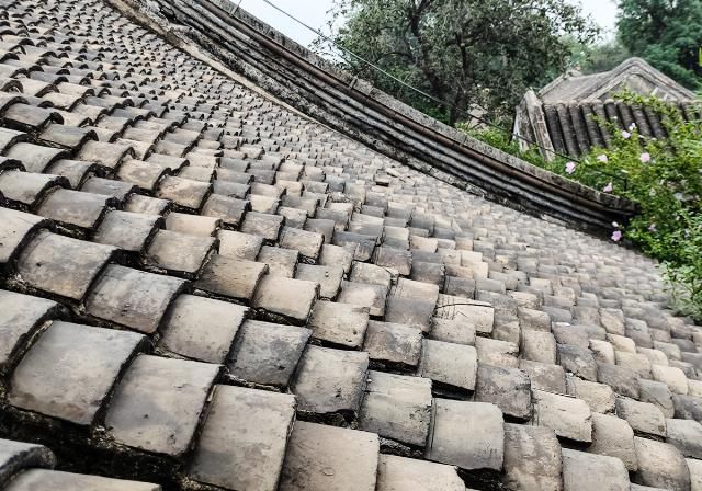  神器|为什么vivo S7能成为网红小姐姐的涨粉神器