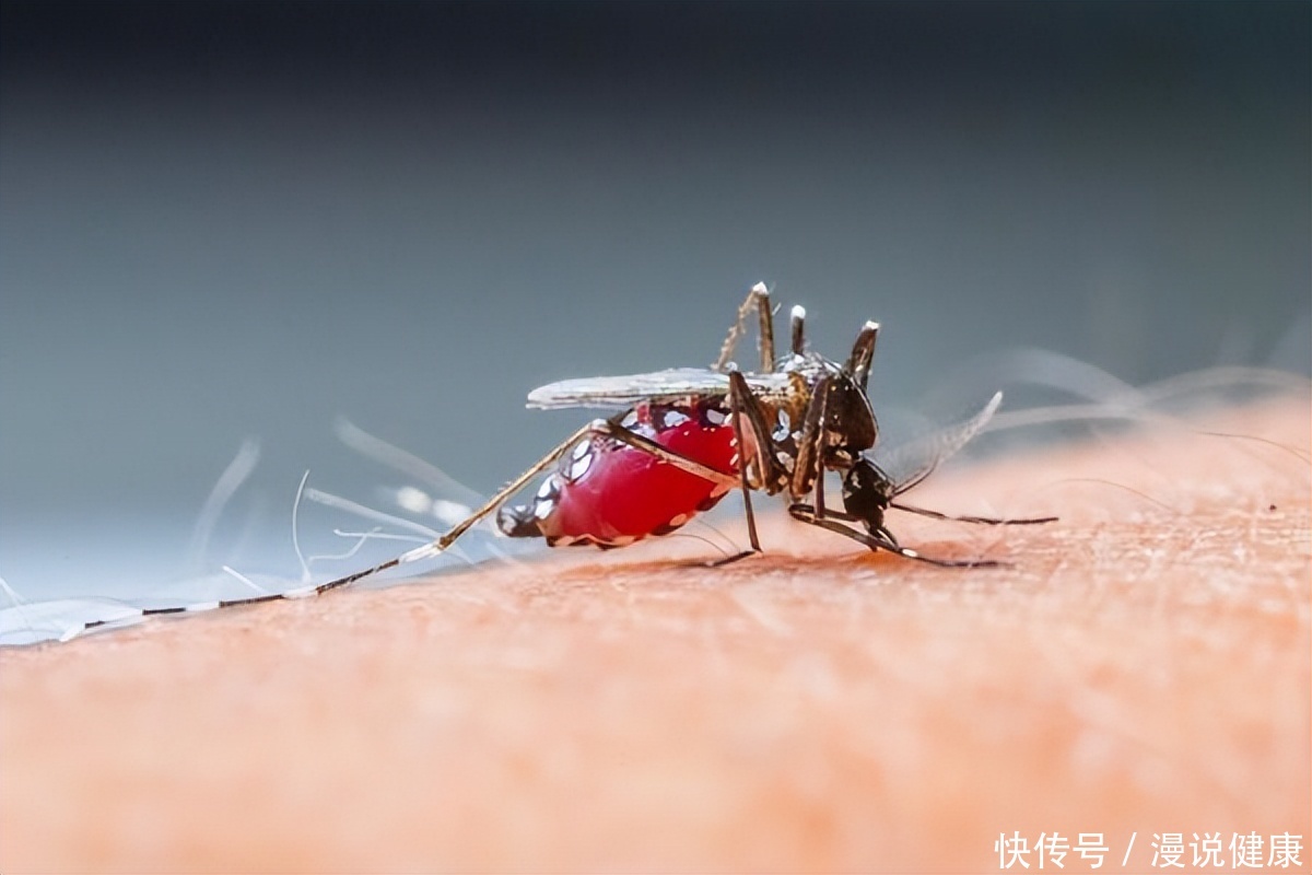为什么卡努不会造成大范围降雨(“卡努”会再次影响京津冀吗？暴雨洪涝后，这件事可提前做好预防)
