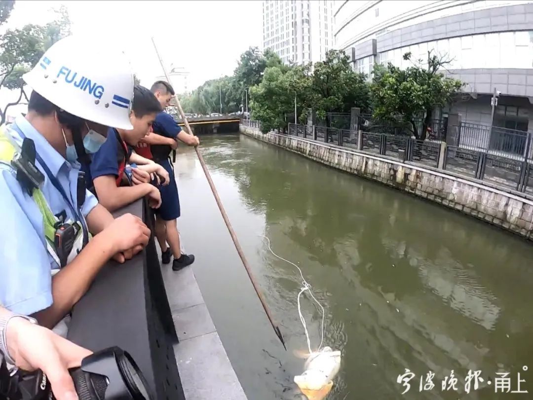  宁波|宁波大卿桥附近河里漂着一个婴儿？公安、消防等20多人施救，结果…