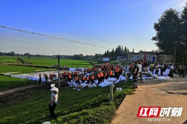  现场|南县一堤段发生“散浸”险情 “堤上的说法”为您科普