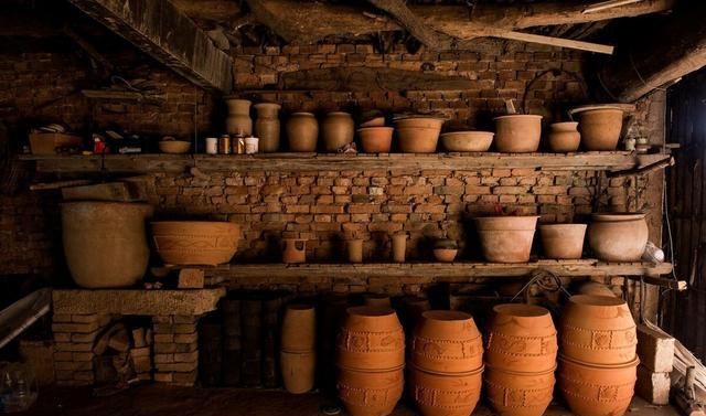  养殖发财树|发财树什么季节换盆用什么花盆？了解些基础，枝干粗壮根系健康