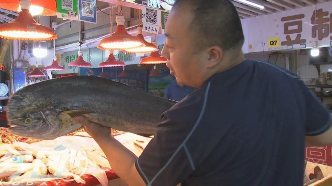 大鱼|青岛海鲜市场现一米多长大鱼！很多老青岛都不认识……